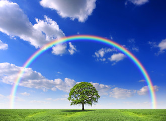Arc en ciel au printemps