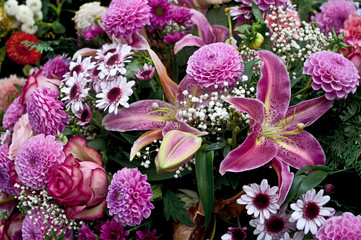 Blumen in lila-rosa.