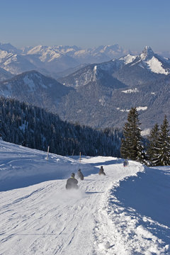 Rodeln am Wallberg