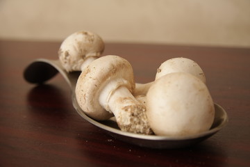 champignons de paris