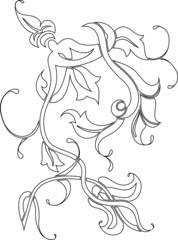 floral elements for design