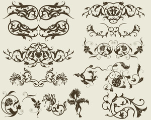 floral elements for design