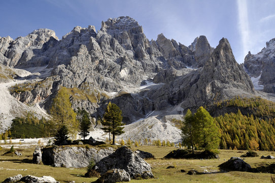 dolomiti unesco alberi conifere larice pino