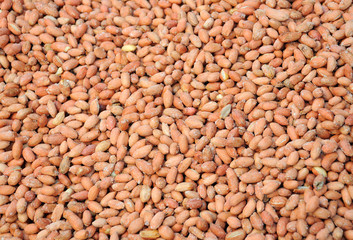 Salted Peanuts on the Market