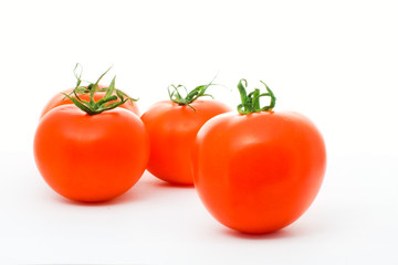 tomatoes