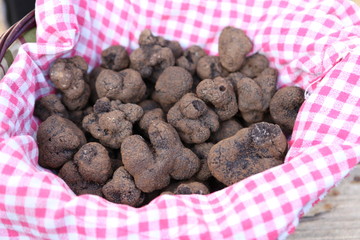 Truffes noires