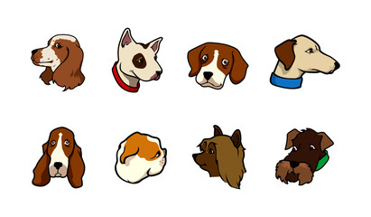 dog heads collection