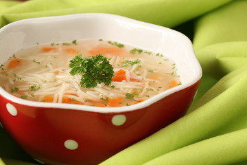 Chicken or turkey soup