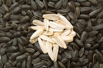 sunflower seeds