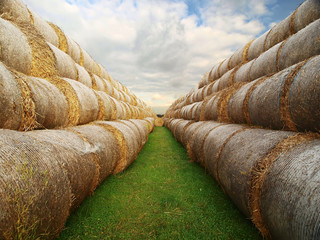 hay bales © bocky