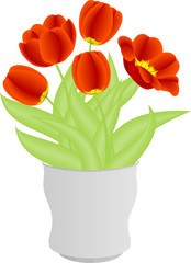 Red tulips in white vase on white background