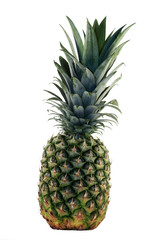 A fresh pineapple isolated on a white background.