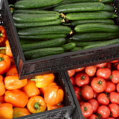 Boxes with cucumbers, peppers and tomatoes