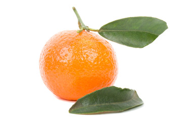 single tangerine with leaves