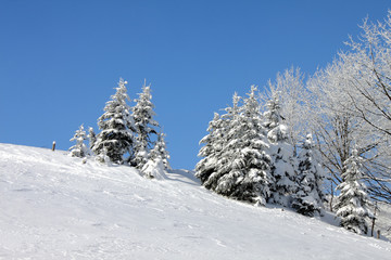 Winter im Osterzgebirge 28