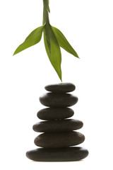 Massage therapy stones and green bamboo leaf