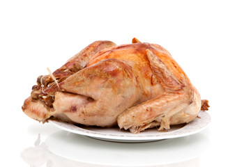 Whole roasted turkey on white background