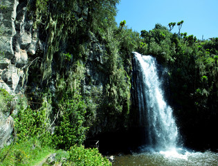 Tropical waterfall