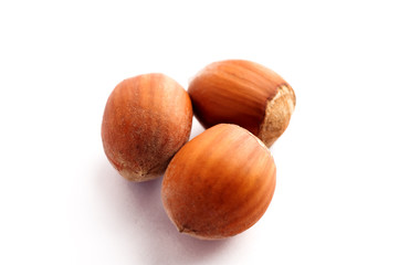 noisettes