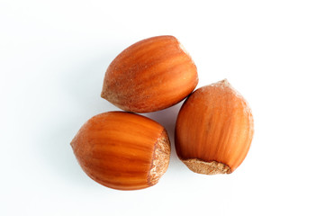 noisettes