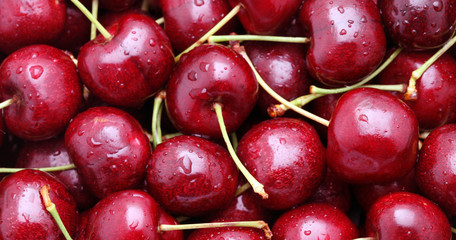 cherry