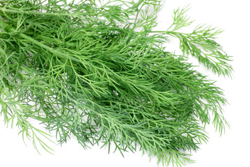 dill