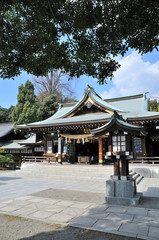 Fototapeta premium 出水神社