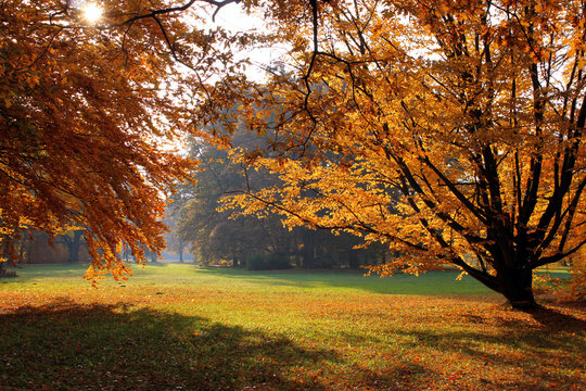 Herbst im Branitzer Park 7