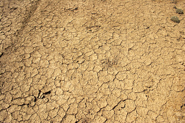 Dry desert sand