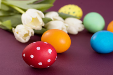 easter eggs and white flowers