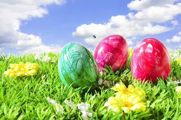 Bunte Eier auf Frühlingswiese