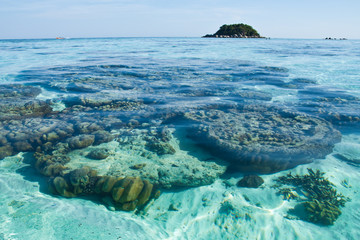 Clear water at Lipe island, south of Thailand