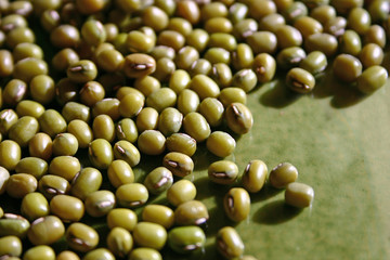 soja vert