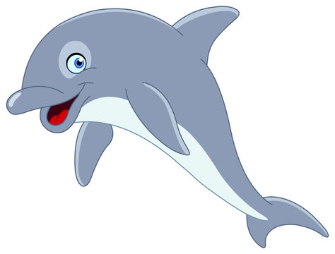 Smiley dolphin