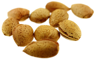 amandes sèches fond blanc