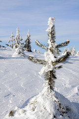 Winter im Osterzgebirge 49