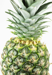 Ananas