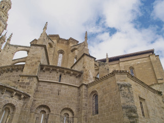 Fototapeta na wymiar Catedral de S. Domingo de la Calzada, La Rioja, España