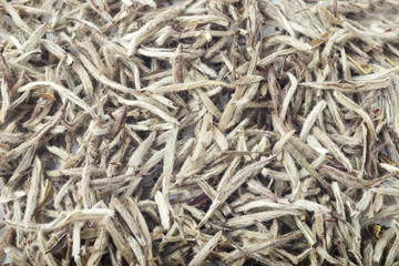 Fresh white tea buds with selective focus