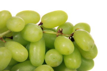 Weintrauben