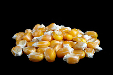 Corn on a black background