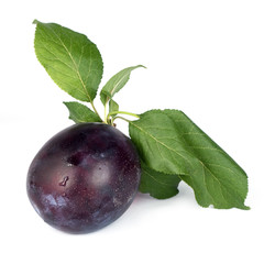 plums