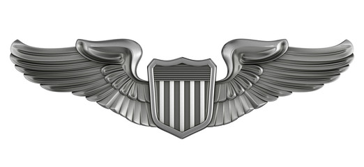 3d render pilot badge © Wadim Wall