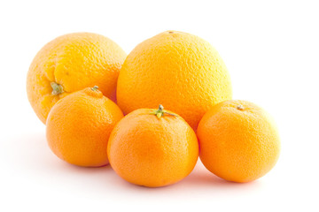 oranges and tangerines on a white background