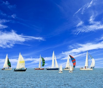 Fototapeta sail yacht on the sea regatta