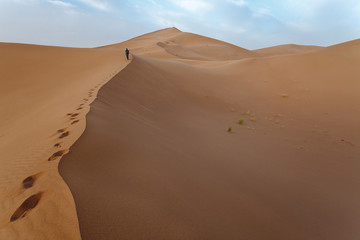 Fototapeta na wymiar Man up on the dunes in Sahara.