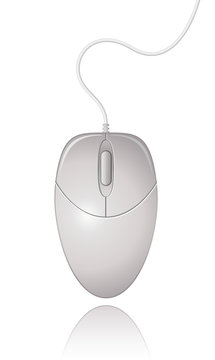 White Computer Mouse. Vector Illustration.