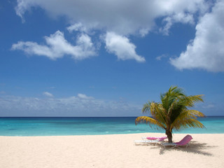 Fototapeta na wymiar Plaża Barbados