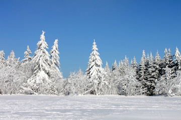 Winter im Osterzgebirge 58