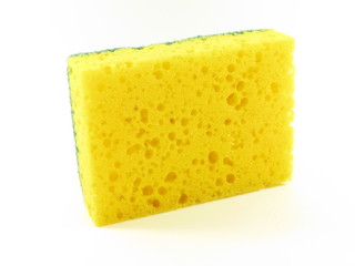 sponge